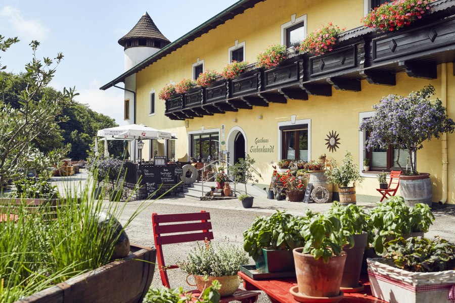 Wirtshaus mit Christbaumkultur, © Niederösterreich Werbung/Andreas Hofer