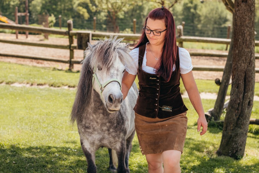 Kutschenfahrten und Reitstunden mit Claudia Langthaler, © Niederösterreich Werbung/Daniela Führer