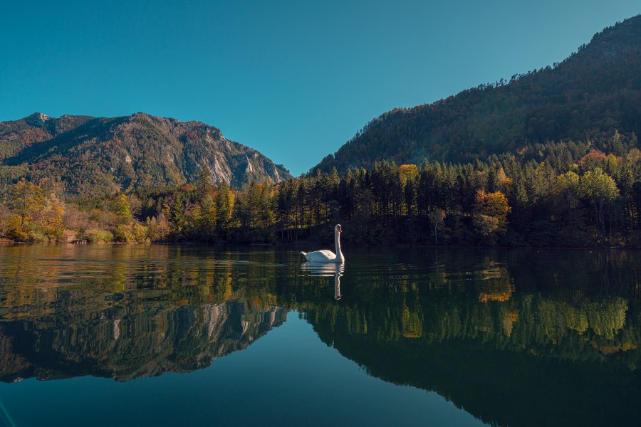 Mit Blick auf den einzigen Natursee Niederösterreichs, © Schlosstaverne Lunz/Martin Stellnberger