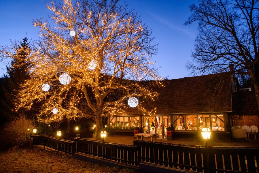 Wirsthaus mit Gastgarten und Teich, © Niederösterreich Werbung/Rita Newman