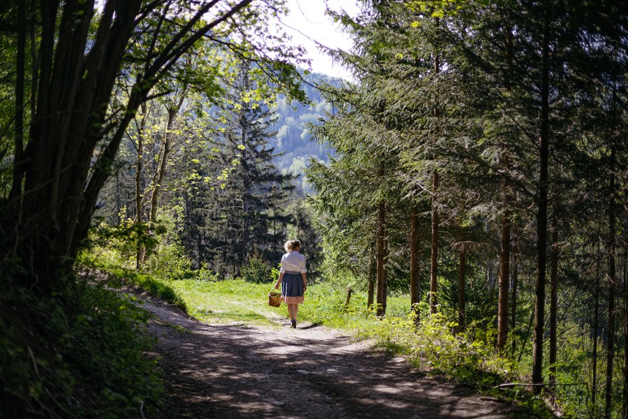 Die Wirtin sammelt auch Wildkräuter, © Niederösterreich Werbung/Mara Hohla