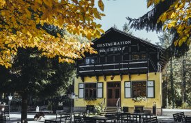 Mit großem Gastgarten mitten im Wald gelegen, © Niederösterreich Werbung/David Schreiber