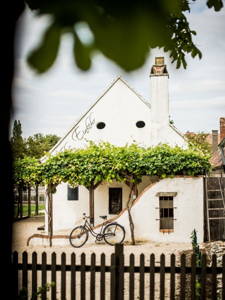 Typisch Weinviertel, © Niederösterreich Werbung/Michael Reidinger