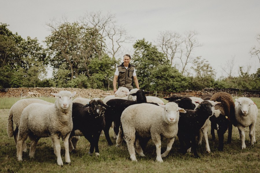 Wirtshaus mit Landwirtschaft von Gemüse, Rind und Schaf, © Niederösterreich Werbung/Sophie Menegaldo