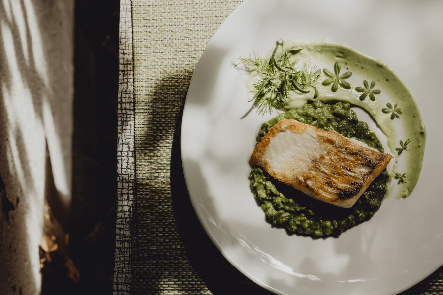 Zanderfilet auf Zitronengras, Spinat-Risotto mit Basilikumcreme, © Niederösterreich Werbung/Sophie Menegaldo