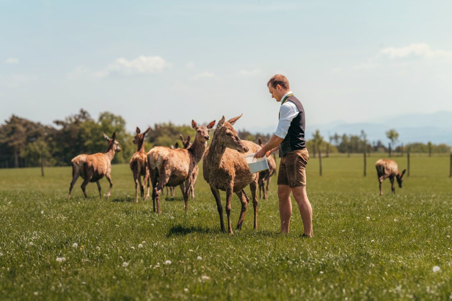 Patrick Langthaler bei de Rotwildfütterung, © Niederösterreich Werbung/Daniela Führer