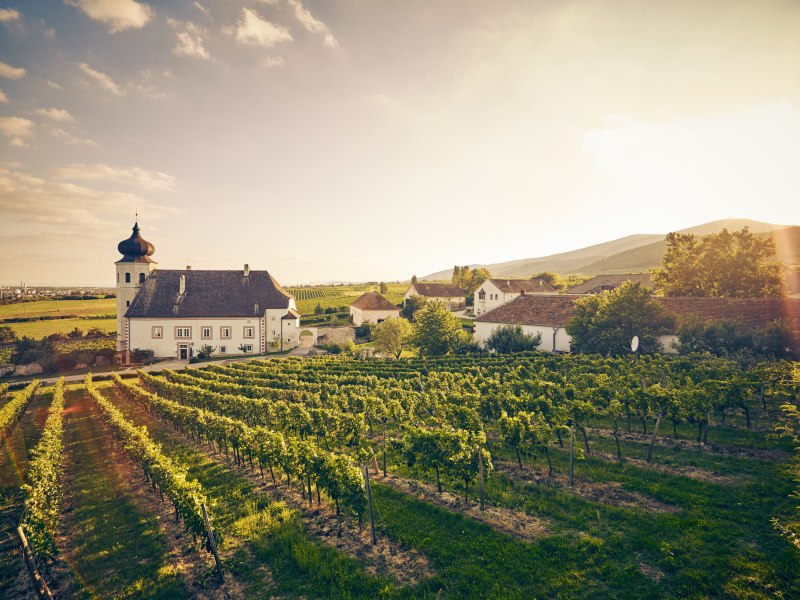 Freigut Thallern, © Niederösterreich Werbung/Andreas Hofer