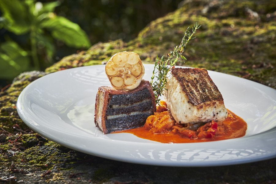 Zanderfilet auf pikantem Kraut und Bluzenterrine, © Niederösterreich Werbung/Andreas Hofer