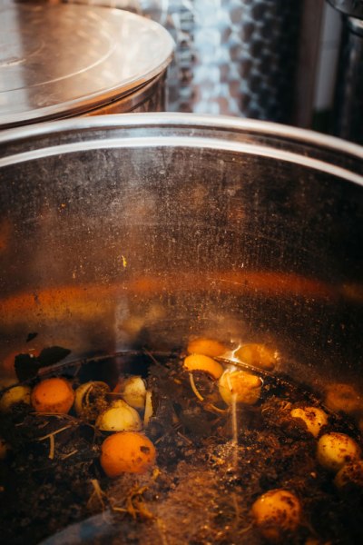 Obstgärten, Kriecherl-Spezialitäten, © Niederösterreich Werbung/Daniela Führer