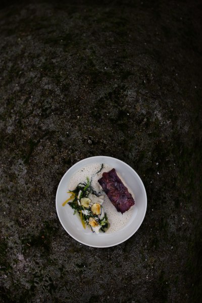 Wurzelfleisch vom Wels mit violetten Raritätenerdäpfel und Kren, © Niederösterreich Werbung/Mara Hohla